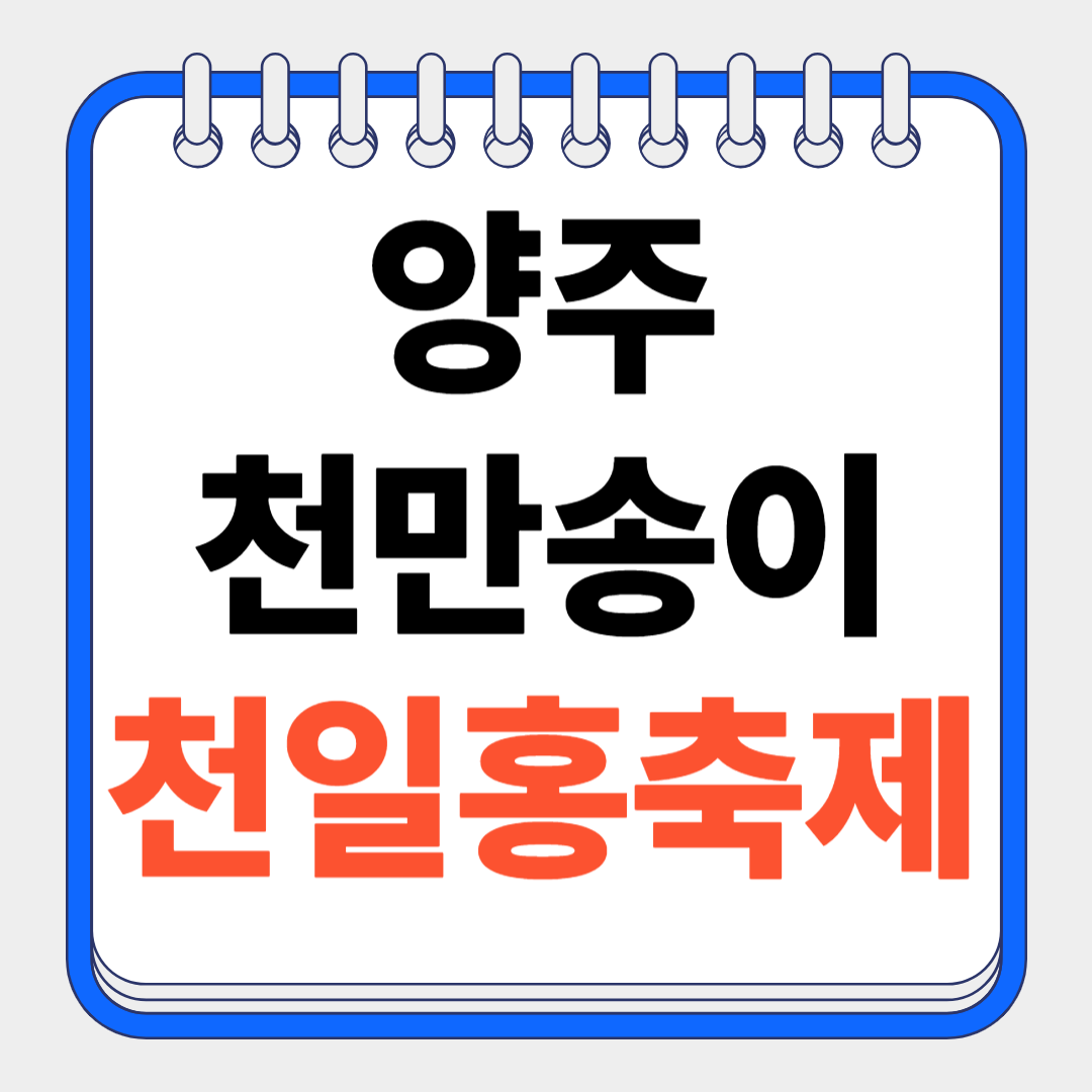 양주 천일홍축제 2025✨ 천만송이 꽃바다에서 힐링한 날