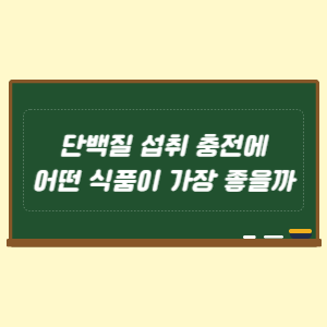 단백질 섭취 충전에 어떤 식품이 가장 좋을까