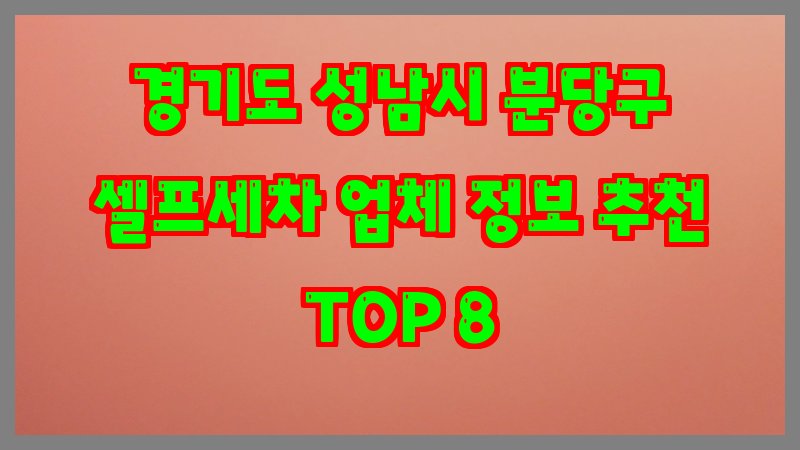 경기도 성남시 분당구 셀프세차