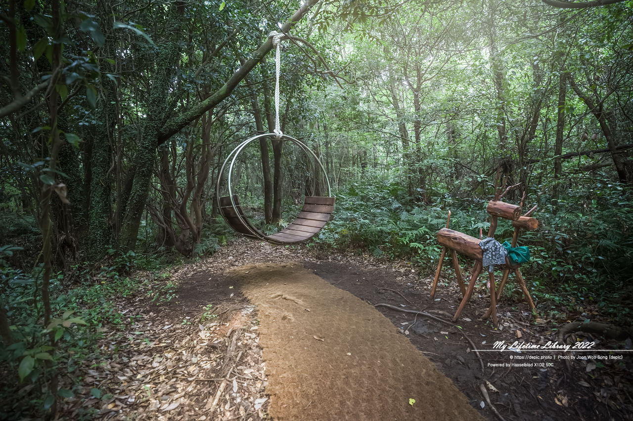 #제주 #곶자왈 #산양큰엉곶 #2022제주여행