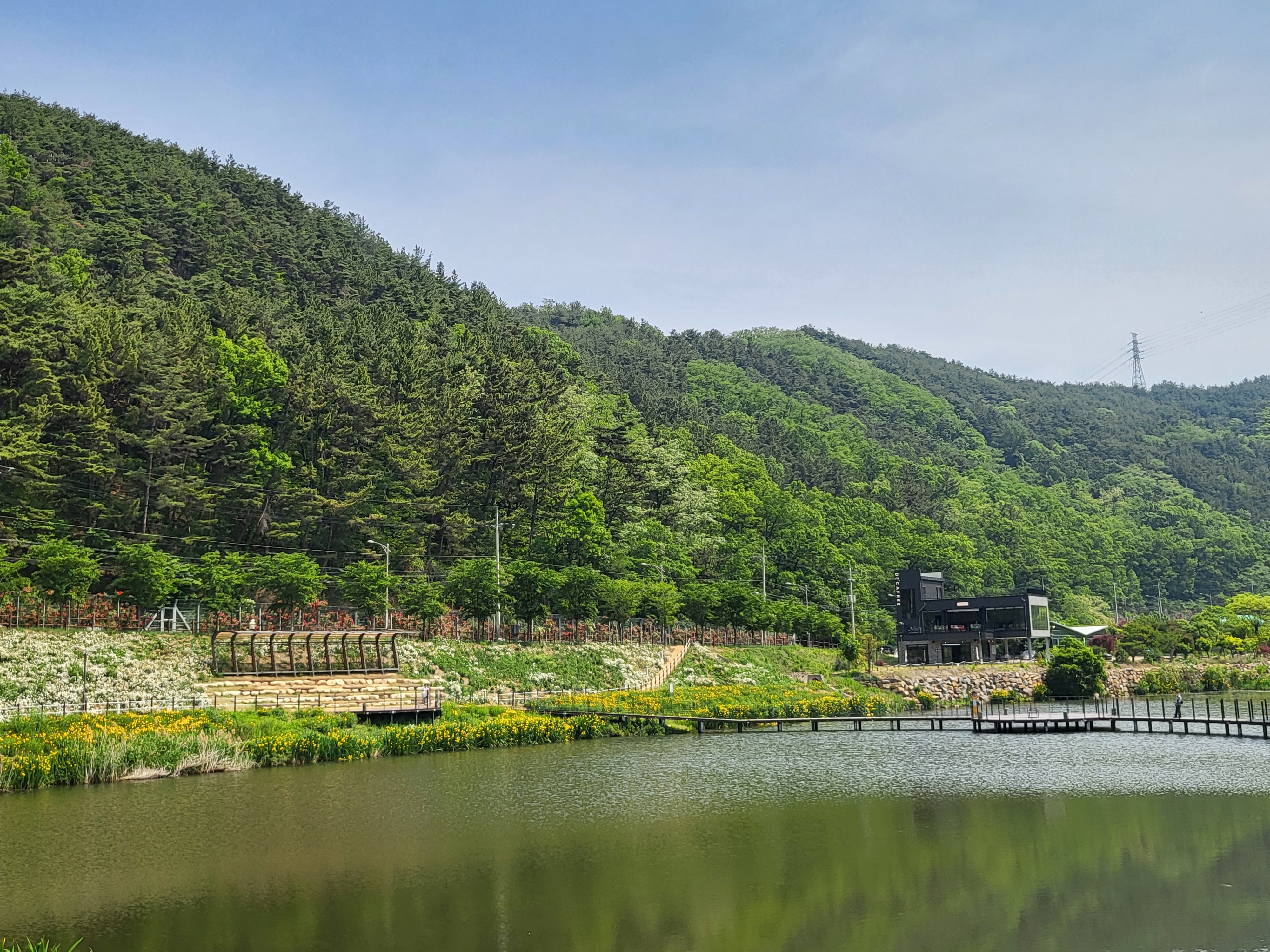 데이지공원