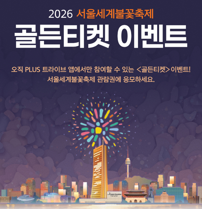 서울불꽃축제