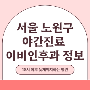 서울 노원구 야간진료 이비인후과 병원 (18시 이후 늦게까지하는 병원)