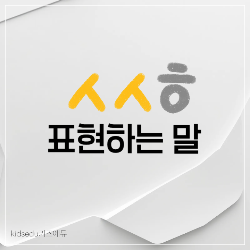 'ㅅㅅㅎ' 표현할 수 있는 말 썸네일