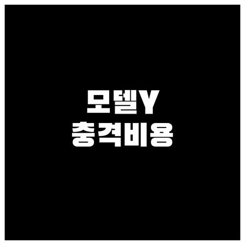 테슬라 모델Y 연간 유지비 항목별 정..