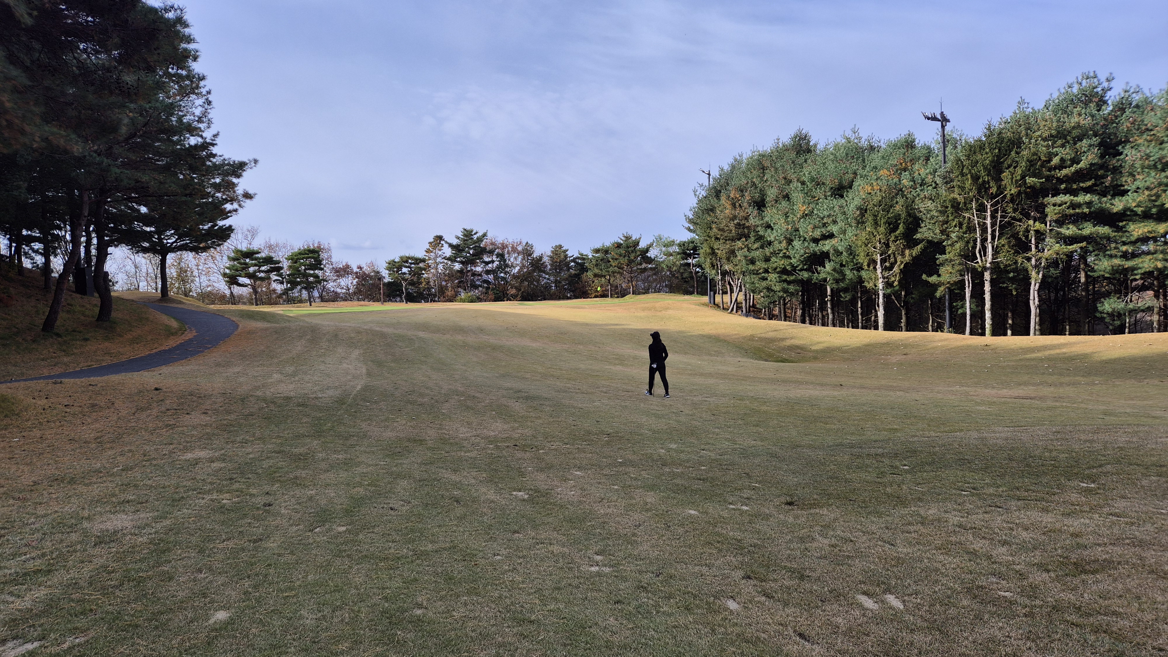 세종에머슨cc 밸리코스 사진 및 공략 정보