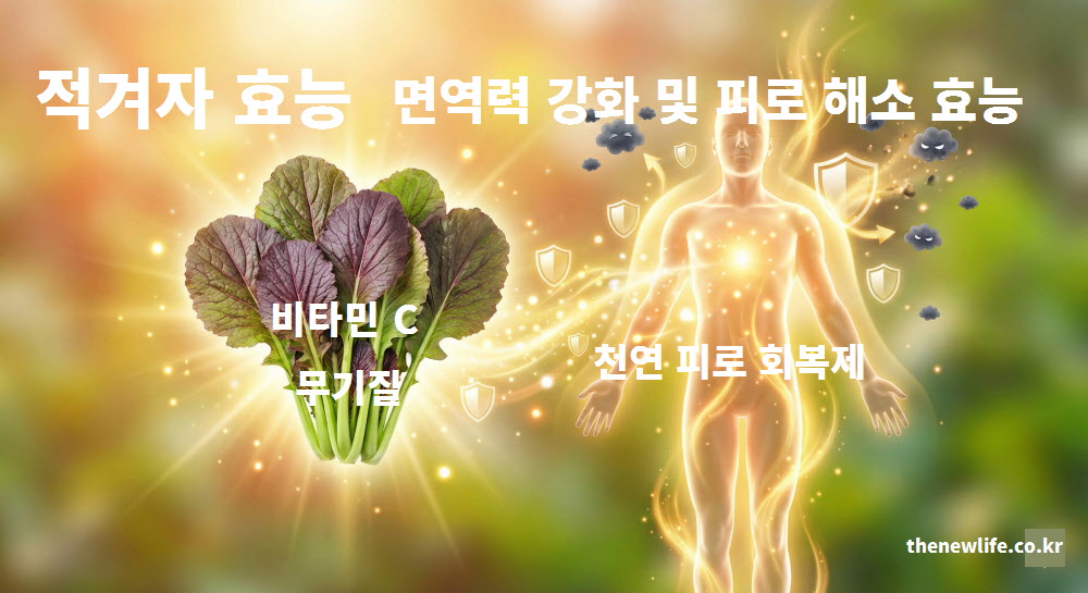 비타민 C와 무기질이 풍부한 적겨자가 인체에 보호막을 형성하여 면역력을 높이고 피로를 해소시키는 과정을 표현한 일러스트