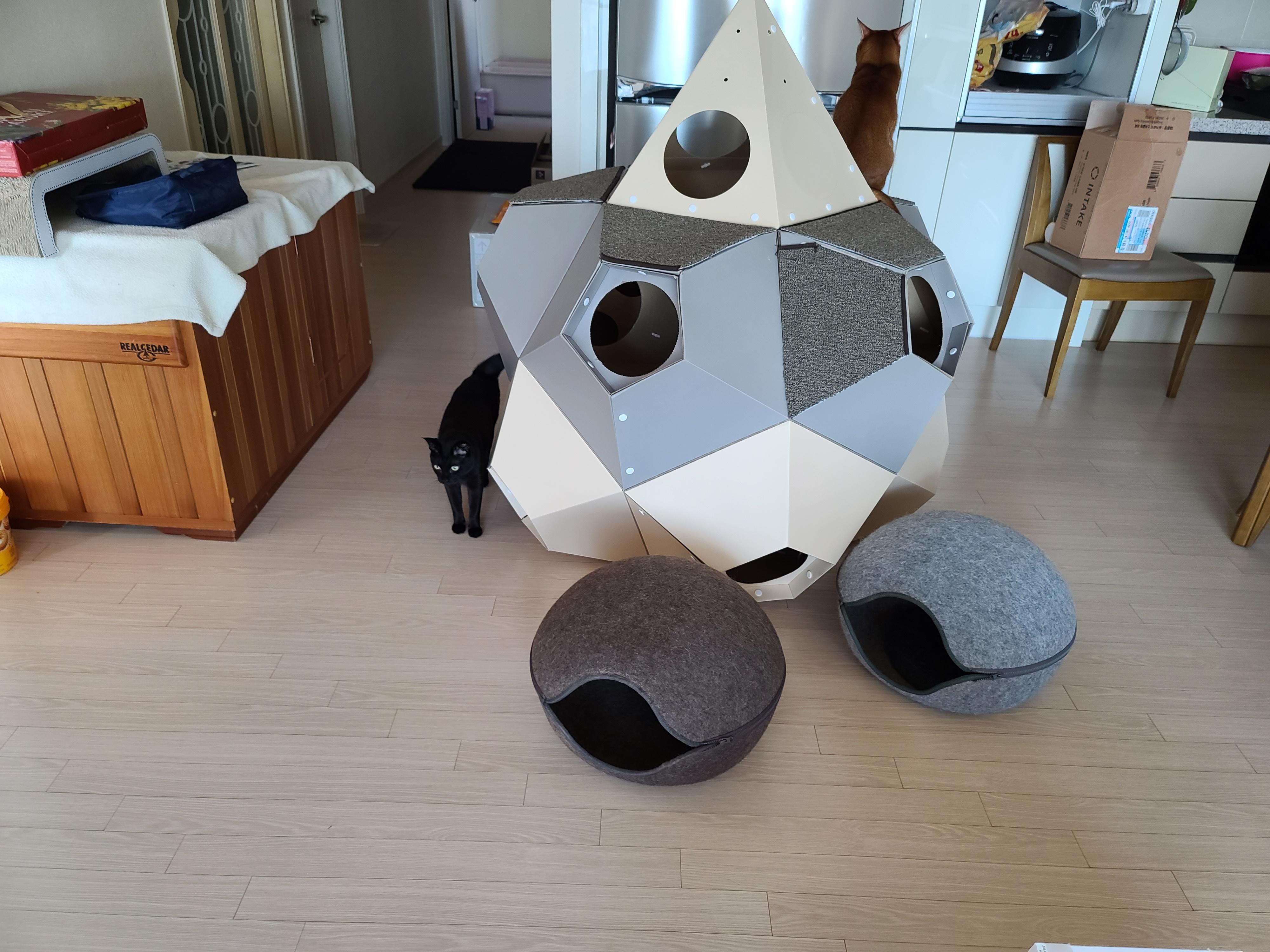 깔끔뭉치 내돈내산 리뷰