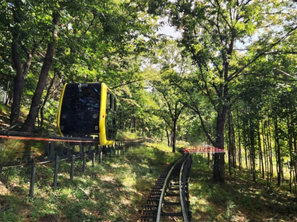 강화 화개산 모노레일