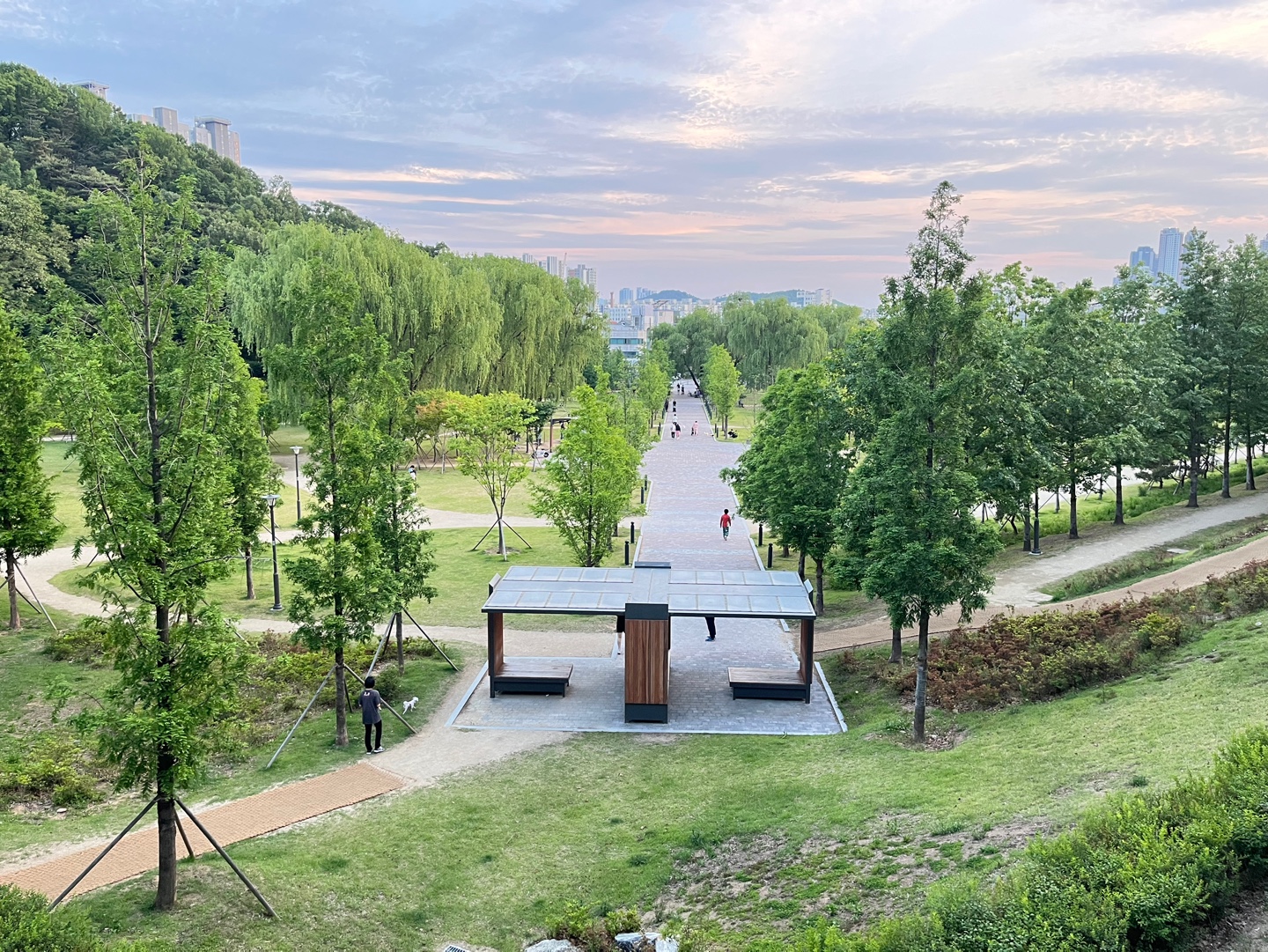 나무가_무성한_작은_공원