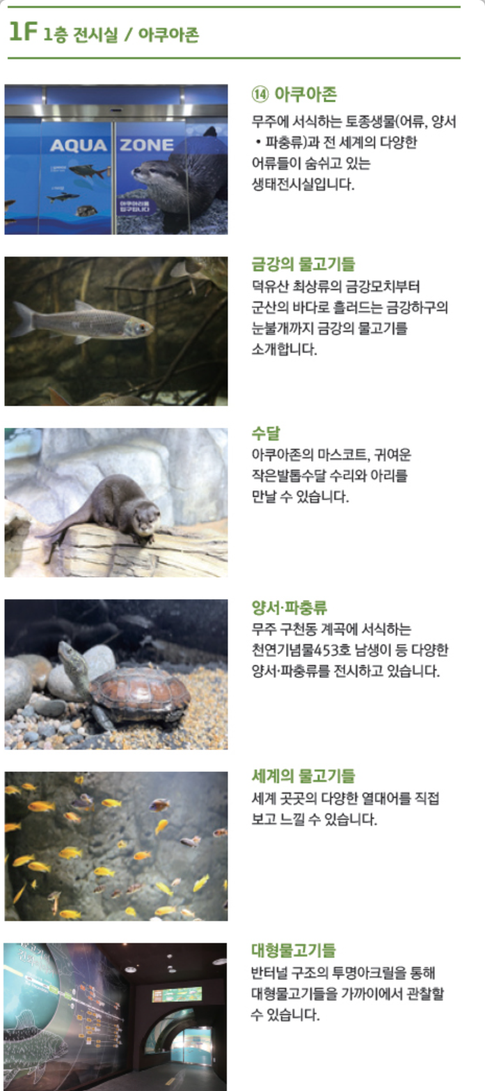 무주 반디랜드
