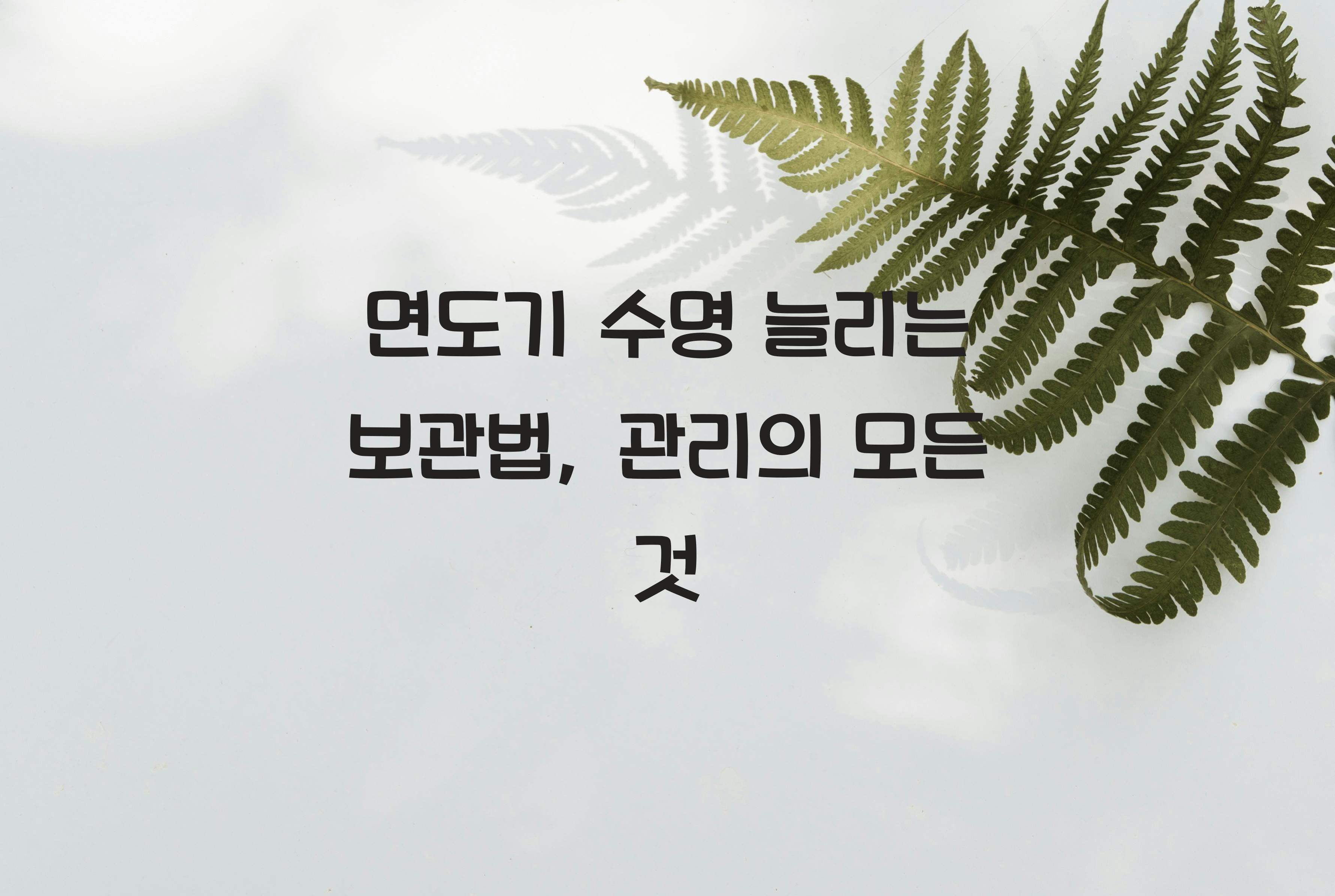 면도기 수명 늘리는 보관법