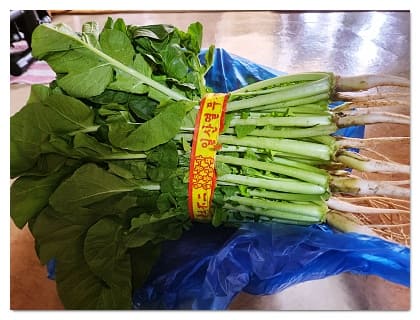 열무김치21