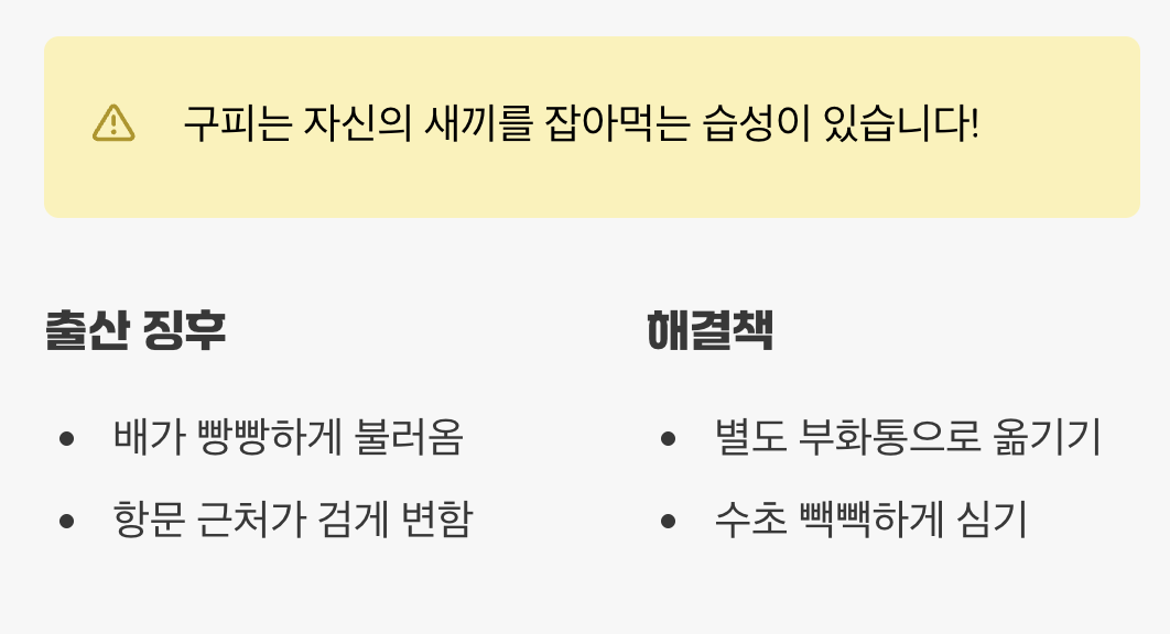 소중한 새끼를 지켜주세요 (치어 관리)