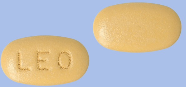 렛잇비프로원정