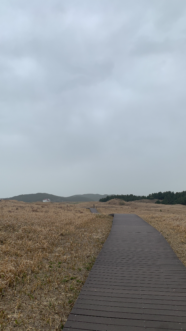 신두리 해안 사구 걷기