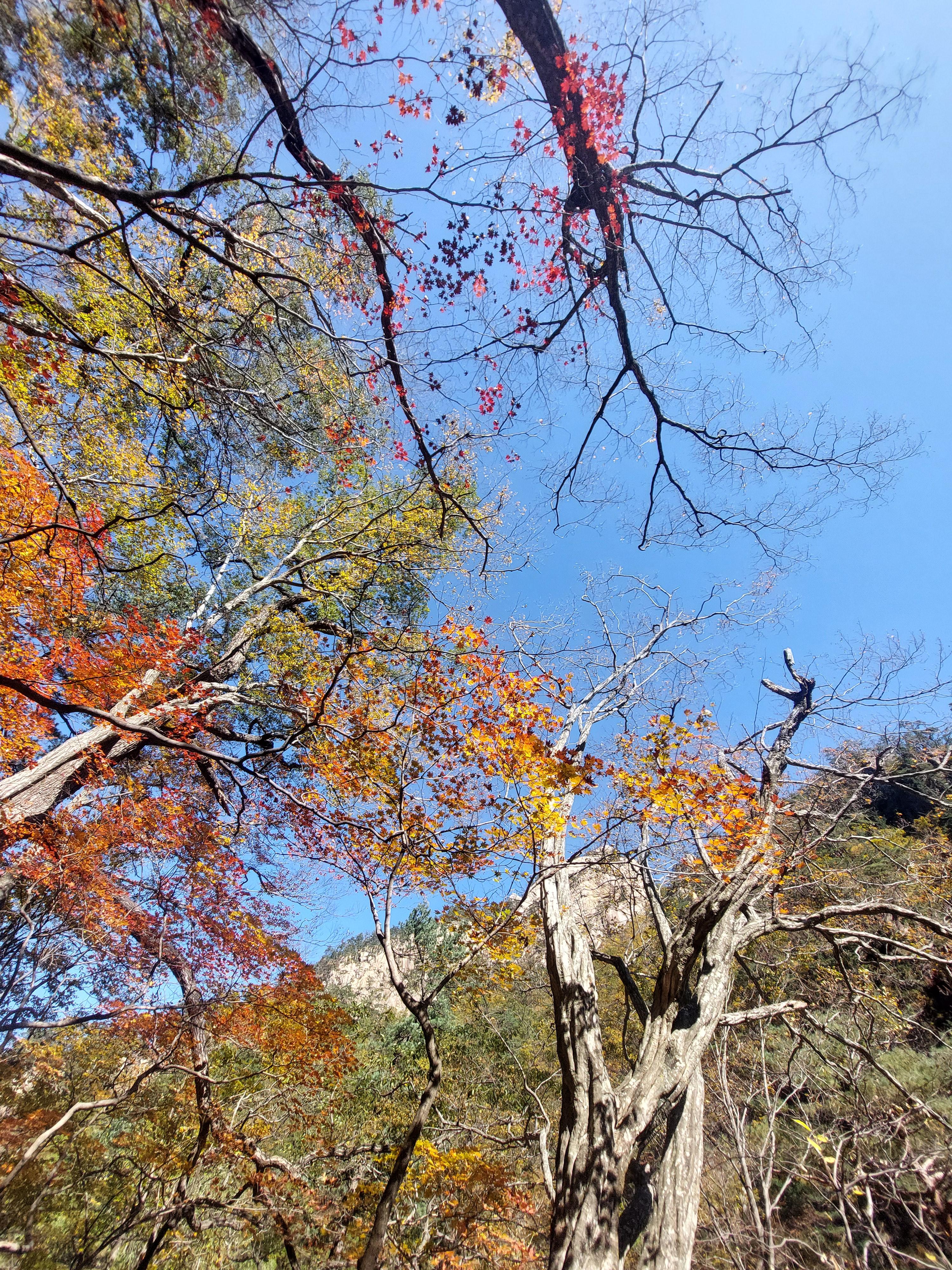 설악산