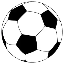공
