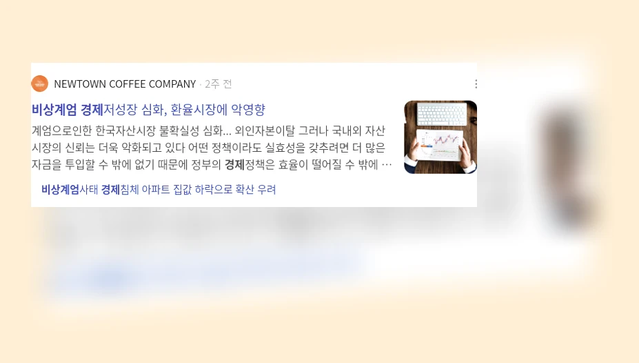 비상계엄과 경제_3_subsection