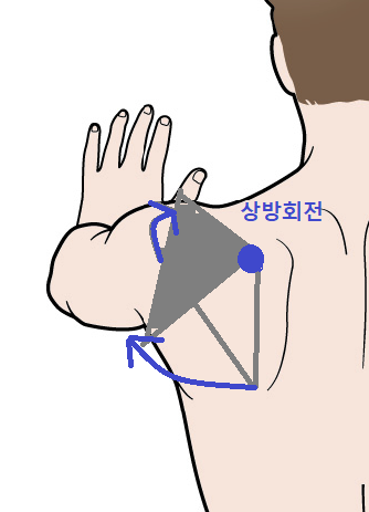 전거근 상방회전