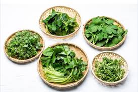 봄 나물과 건강: 자연이 선물한 봄철 건강 비결