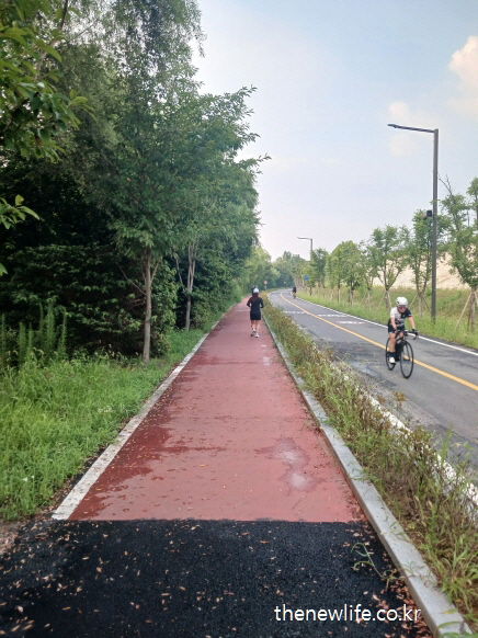 자전거 도로와 나란히 있는 숲속 걷기 트랙, 반복적 빠르게 걷기에 적합한 뱃살 빼는 운동 코스