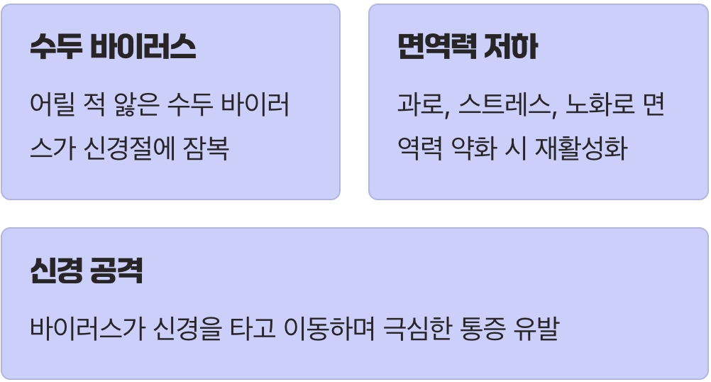 내 몸속에 숨어있던 적, 잠자던 바이러스의 반란