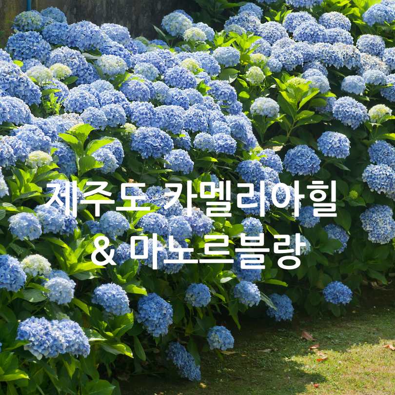 6월 국내여행지 베스트 10