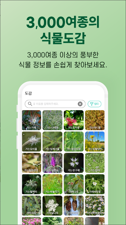 왓캠, 꽃 이름 찾기 어플, 꽃 사진으로 꽃 이름 찾아보기