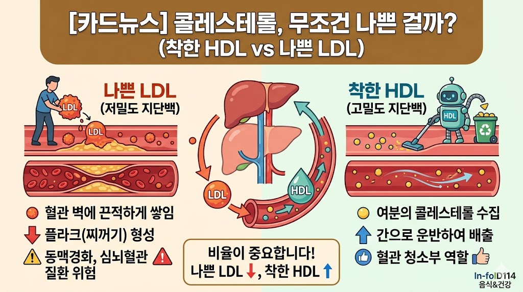 콜레스테롤 낮추는 음식