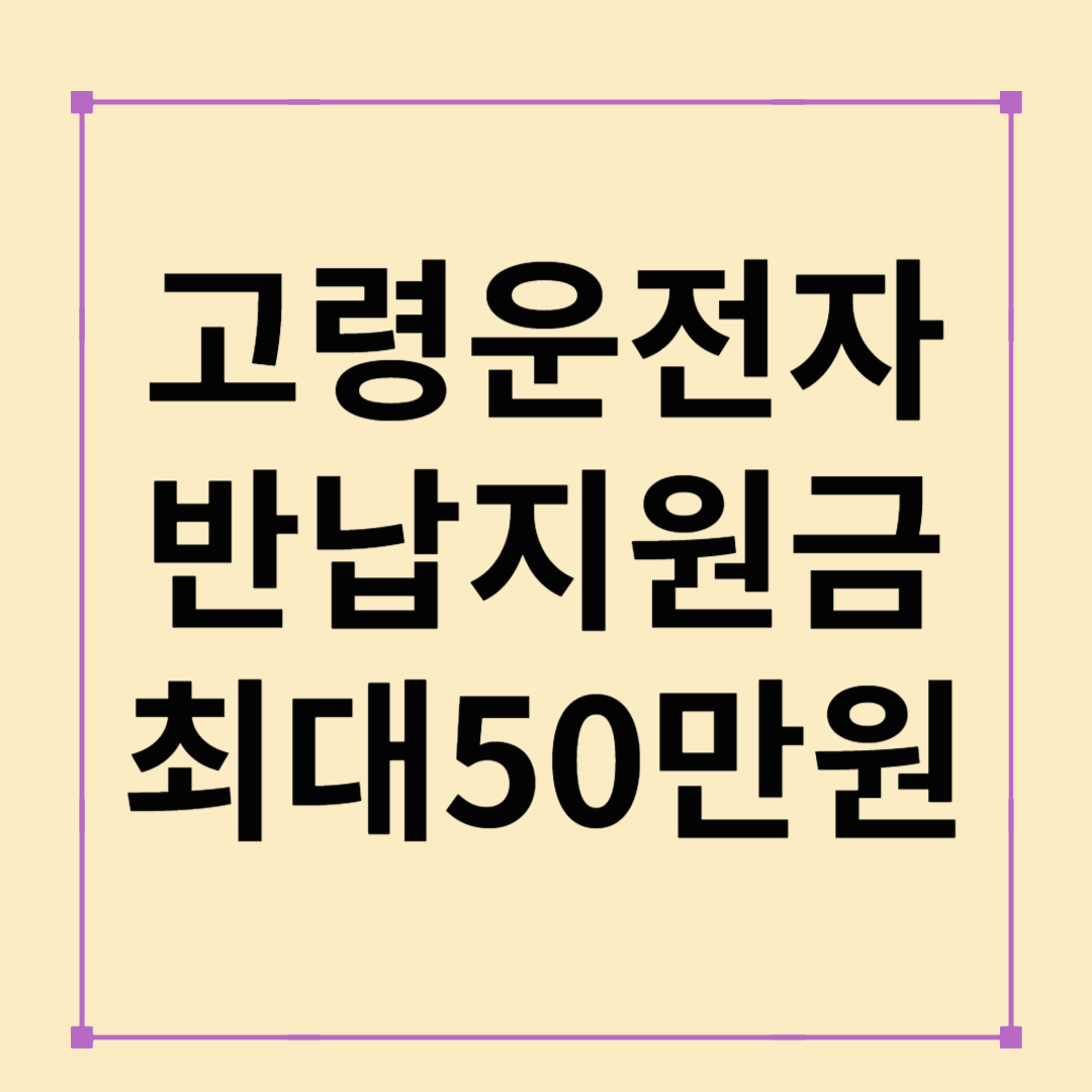 2025년 고령자 운전면허 반납 지원금 총정리: 최대 50만 원 혜택 한눈에 보기