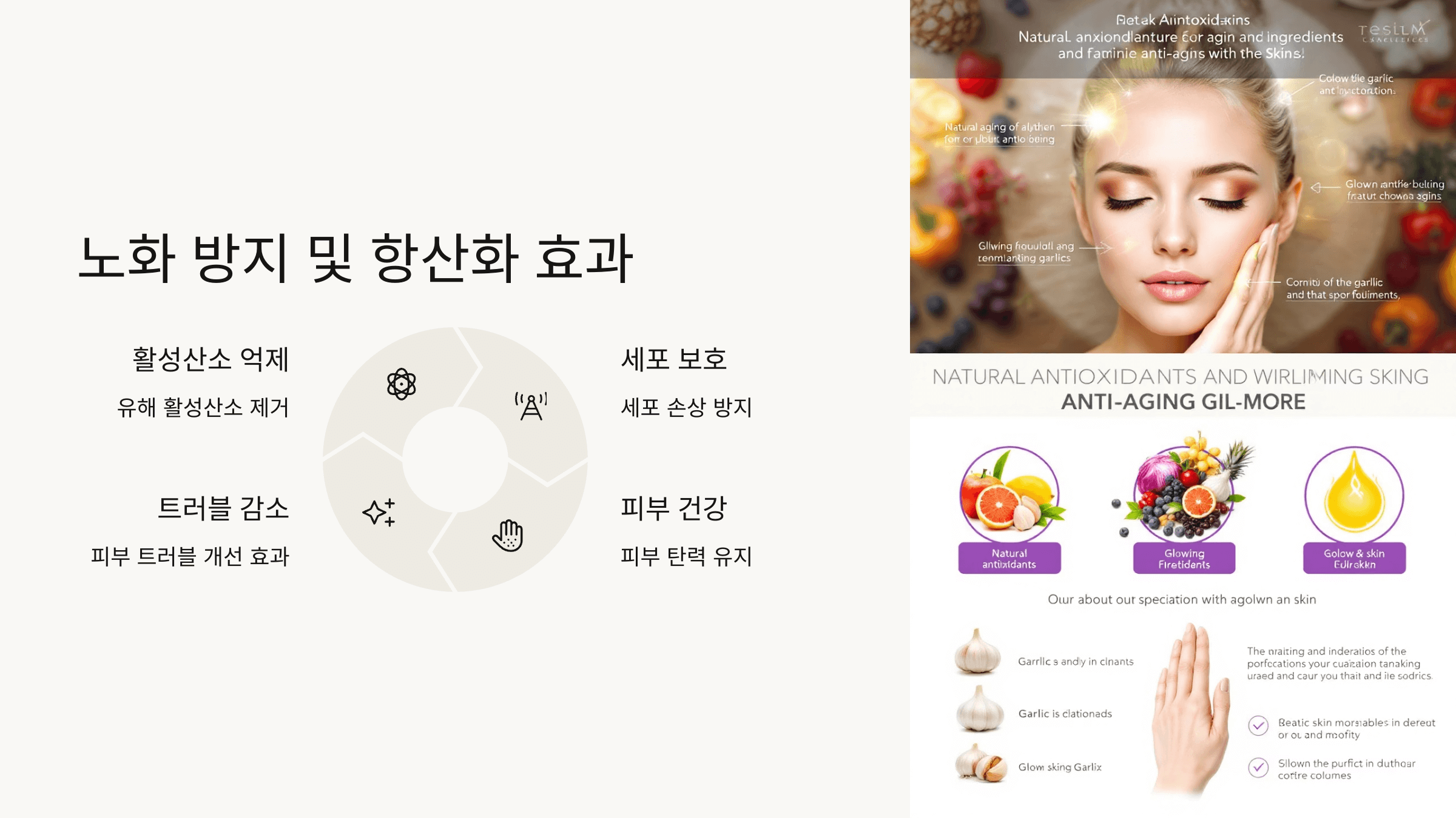 마늘 사진입니다.