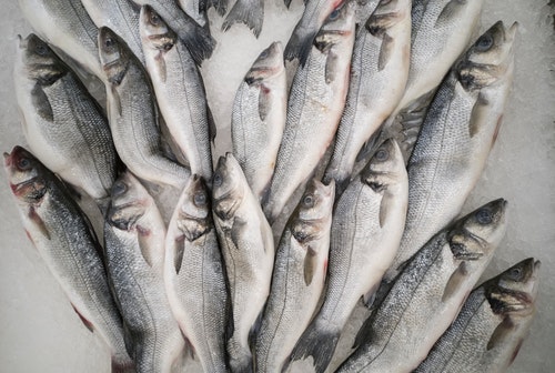 오메가3 기능 추천 음식 TOP 5