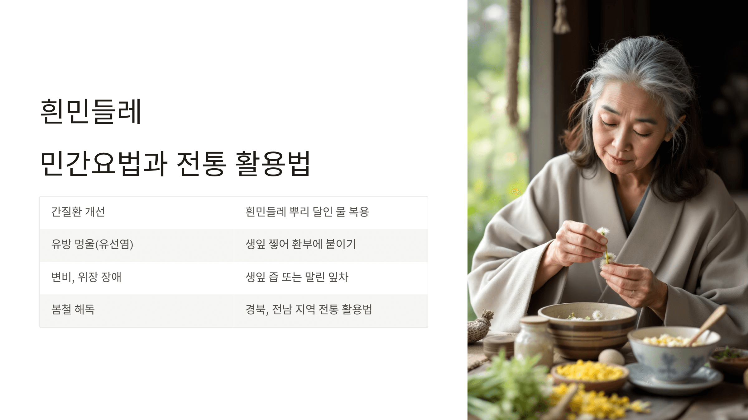 흰민들레 사진입니다.