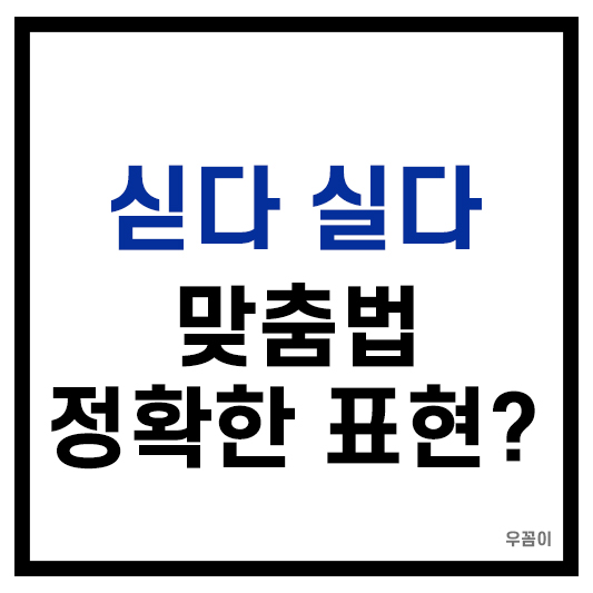 싣다 실다 맞춤법 정확한 구분