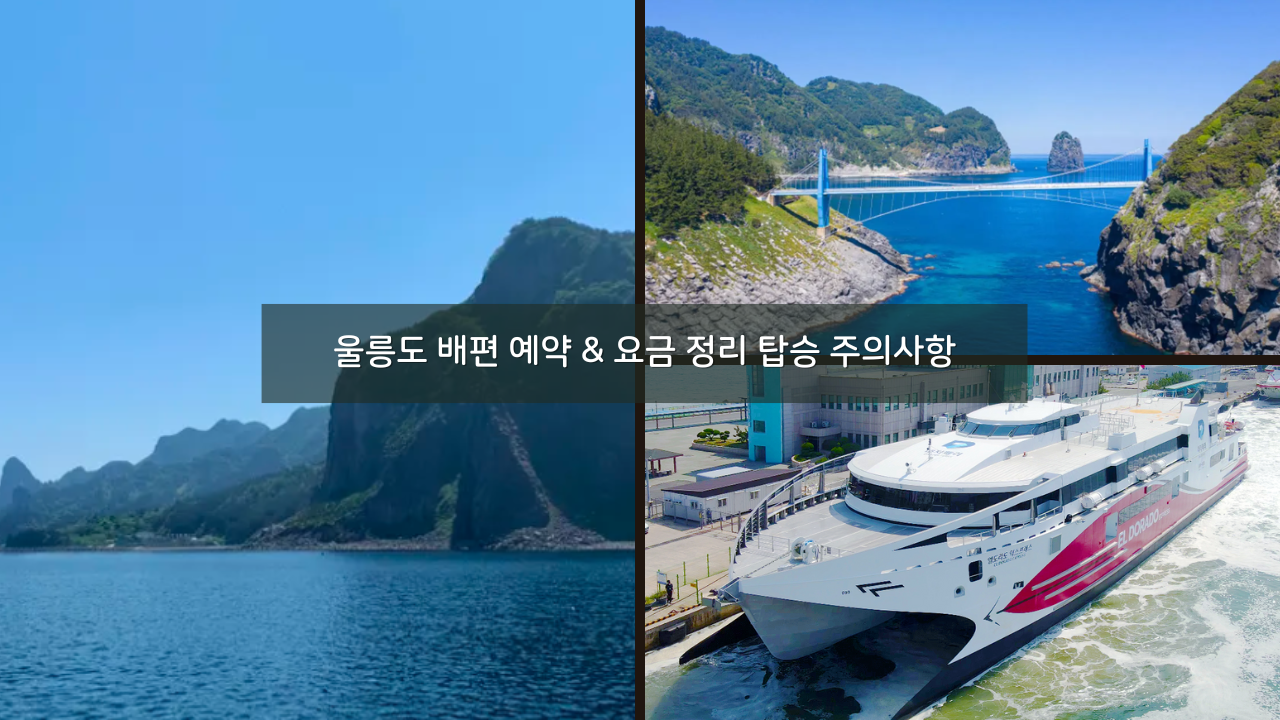 울릉도 배편 예약 배시간 편도 가격 요금 정리 탑승 주의사항 준비물