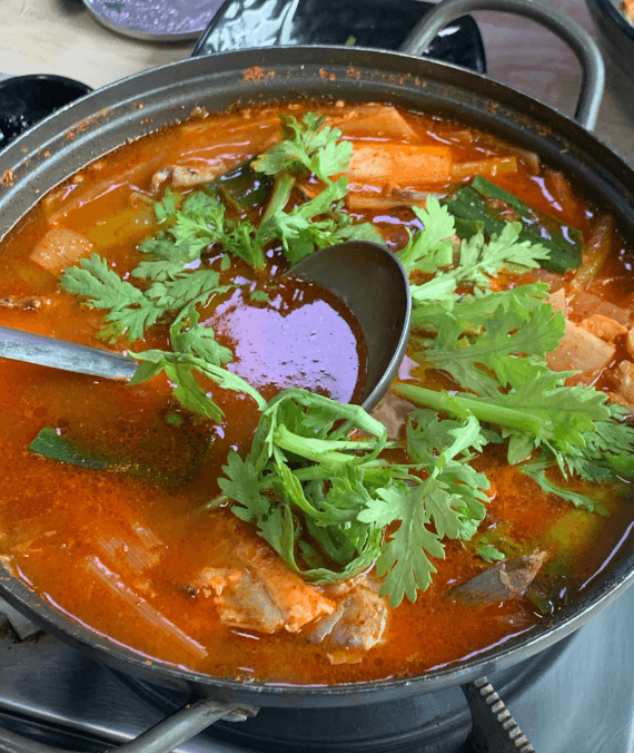 생방송 투데이 송어회 향어회 충북 충주