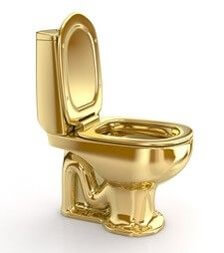 금빛-양변기-박근혜
