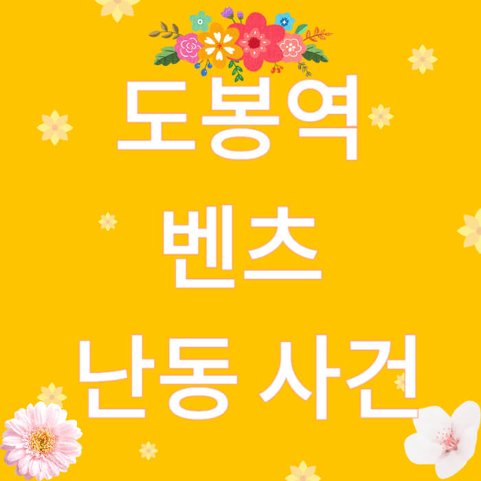 도봉역 벤츠 난동 사건