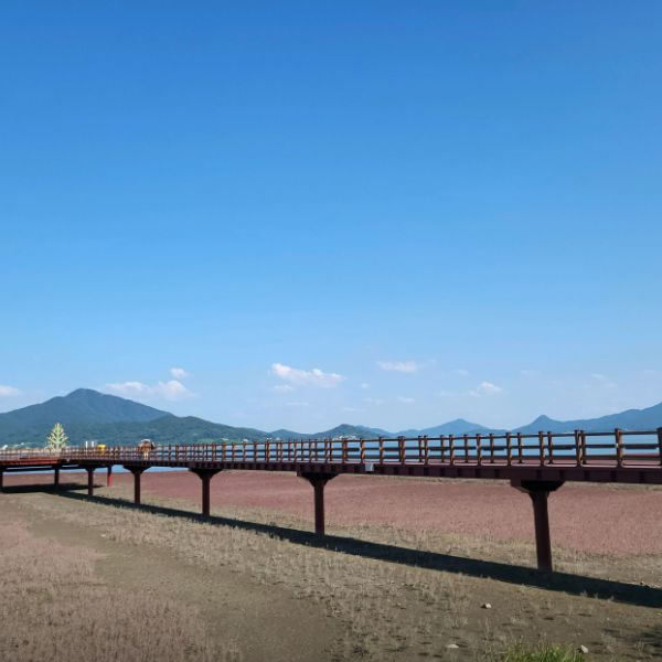 석모도 칠면초 군락지