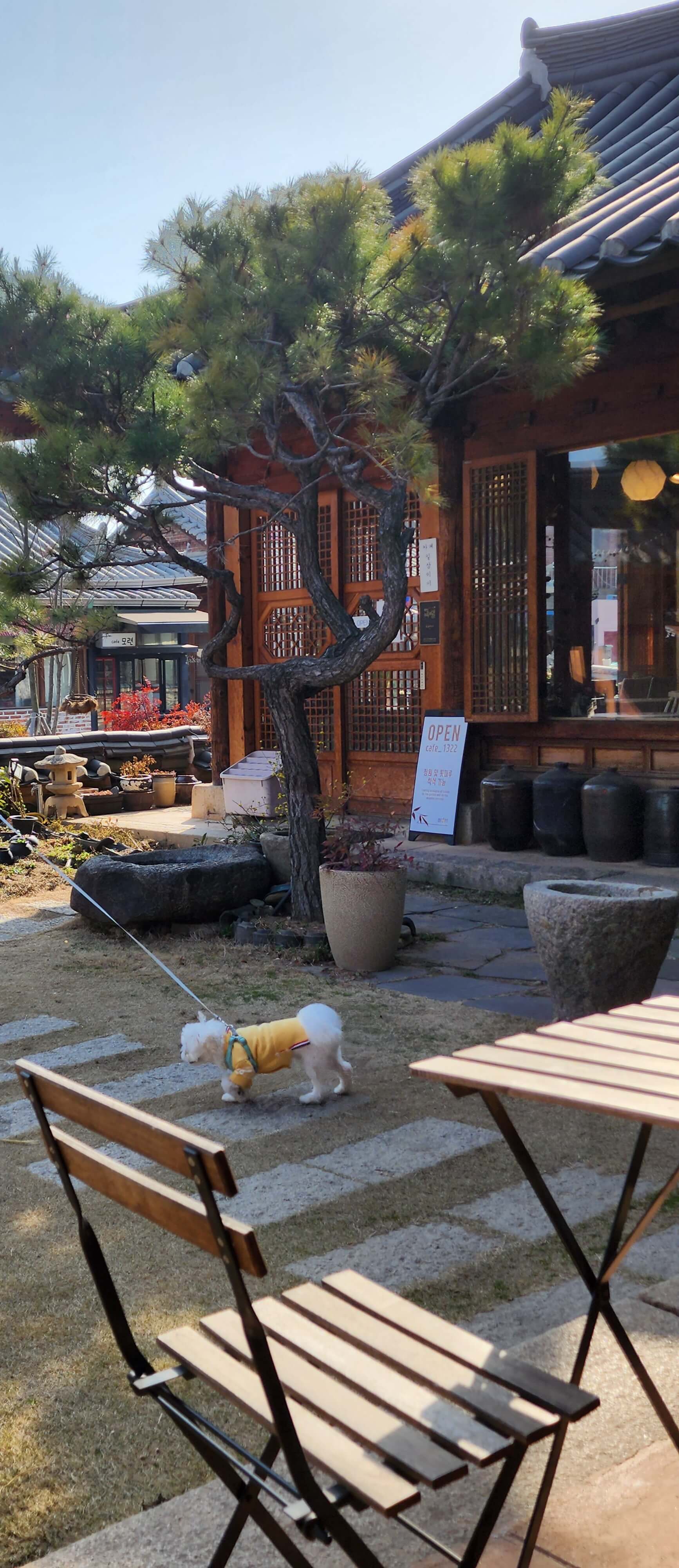 반려견과 전주여행 우전재카페