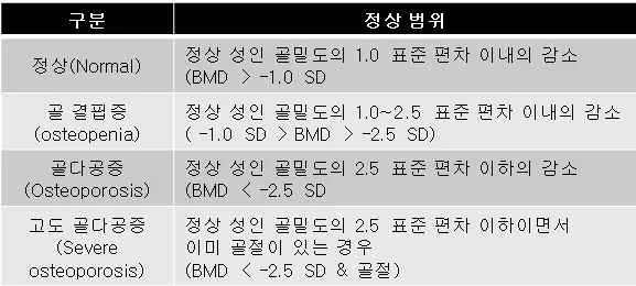 골밀도 검사 수치 골밀도 높이는 방법 간단 정리_3
