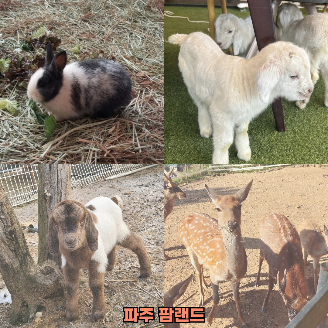 파주캠핑장