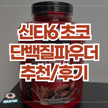 신타6 프로틴 파우더 초코맛 실제 후기