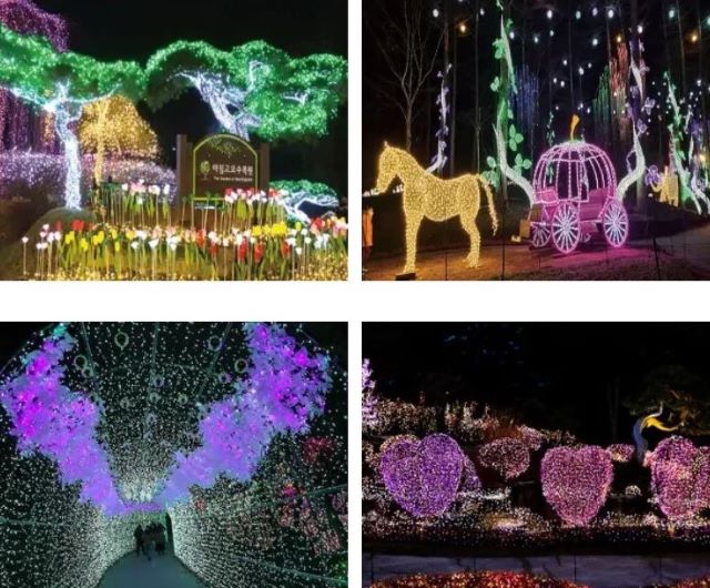 혼잡 피해 떠나는 한적한 국내 여행-가평 아침고요수목원(야간)