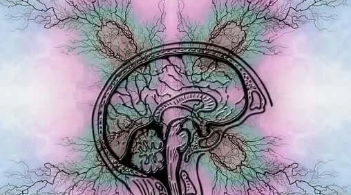 반려동물 자격증 창업 취업