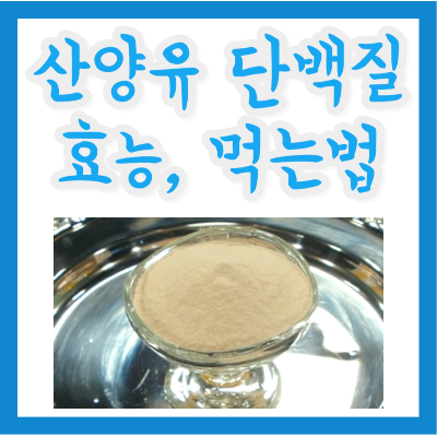 산양유 단백질