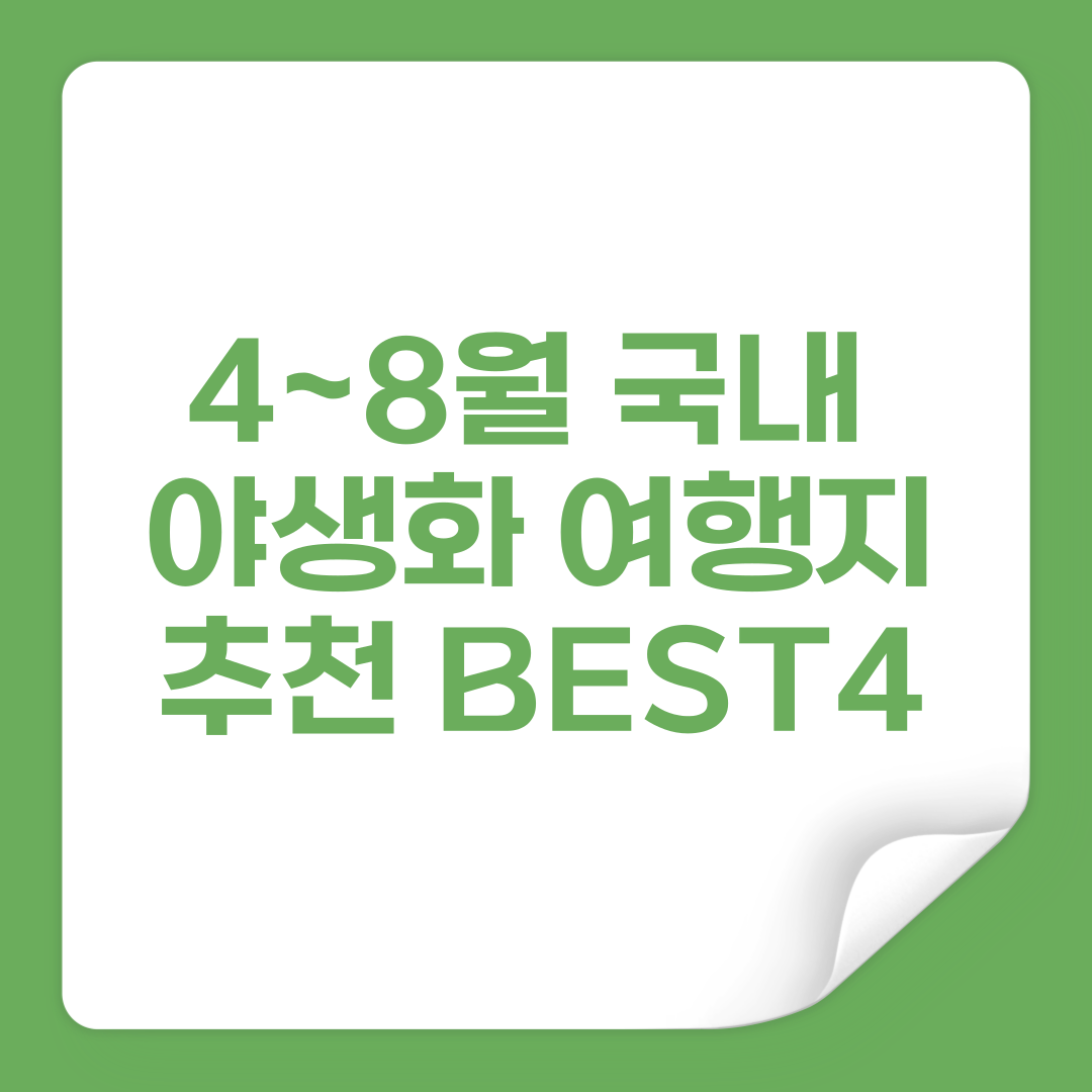 야생화