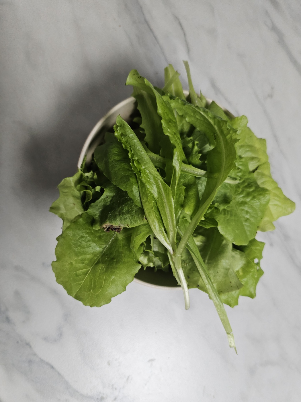 2025년 오산시 도시농업 힐링그린텃밭