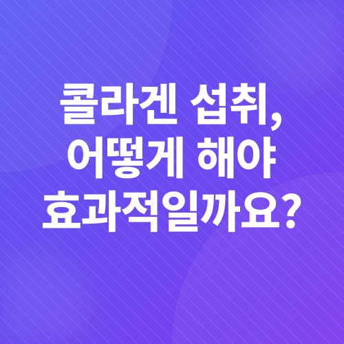 콜라겐_3